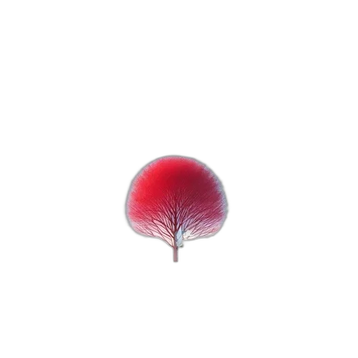 tree, umbrella, crown, hat transparent PNG cut-out
