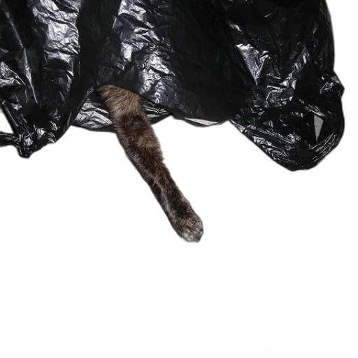 umbrella, jacket, staff, weapon transparent PNG cut-out