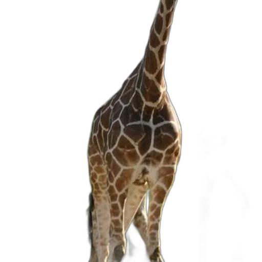 animal, creature, staff, weapon transparent PNG cut-out