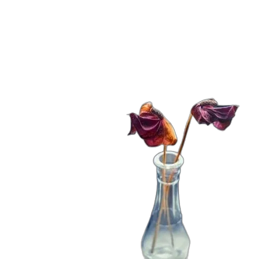 bottle, flower, umbrella, jewelry transparent PNG cut-out
