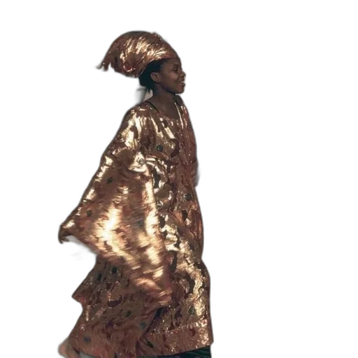 jacket, dress, hat, crown transparent PNG cut-out
