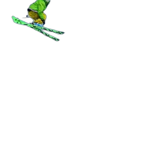 dragon, staff, creature, animal transparent PNG cut-out