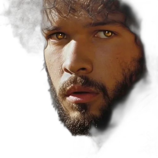 face, dragon, creature, hair transparent PNG cut-out