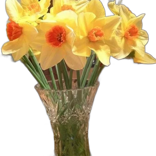 flower, crown, staff, photorealistic transparent PNG cut-out
