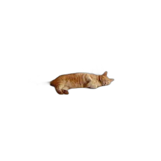 animal, creature, staff, furniture transparent PNG cut-out