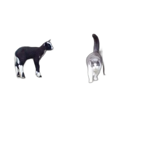 animal, staff, creature, robot transparent PNG cut-out