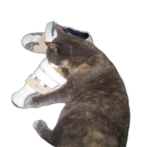 shoes, hat, mask, bottle transparent PNG cut-out