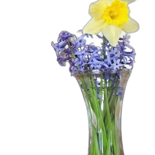 flower, crown, staff, bottle transparent PNG cut-out
