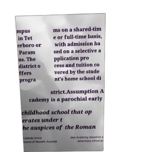 staff, weapon, assumption, academy transparent PNG cut-out