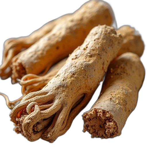 food, photorealistic, dried, angelica transparent PNG cut-out