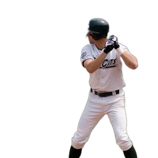 weapon, animal, baseball, player transparent PNG cut-out