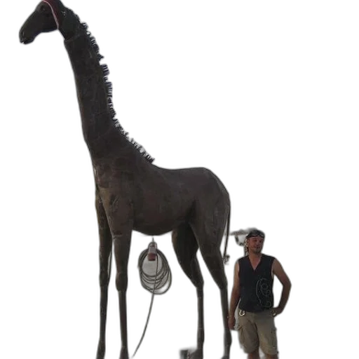 staff, animal, creature, umbrella transparent PNG cut-out