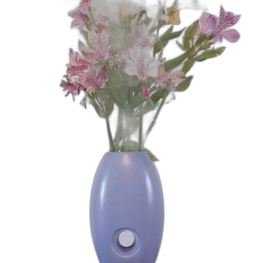 flower, bottle, jewelry, crown transparent PNG cut-out
