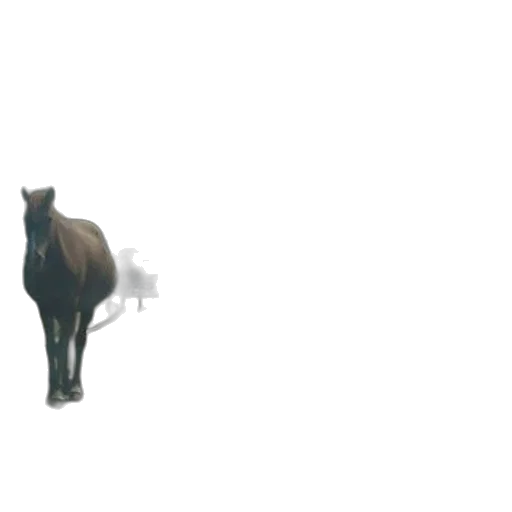 animal, staff, creature, robot transparent PNG cut-out