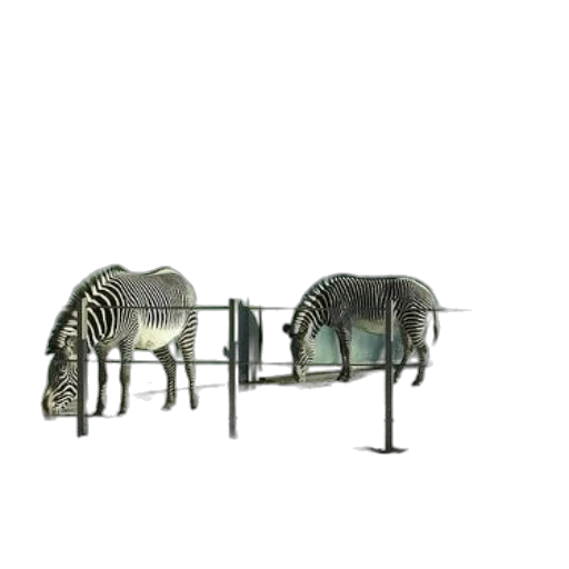 furniture, animal, jewelry, creature transparent PNG cut-out