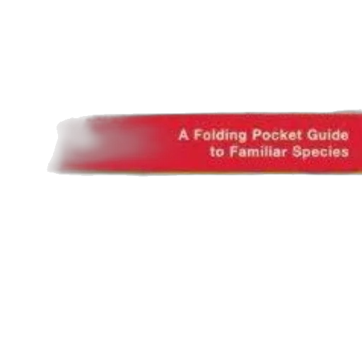 staff, folding, pocket, guide transparent PNG cut-out