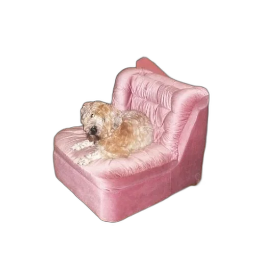 furniture, animal, 3d render, photorealistic transparent PNG cut-out