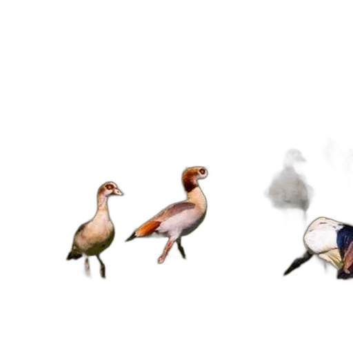 animal, concept art, 3d render, pixel art transparent PNG cut-out