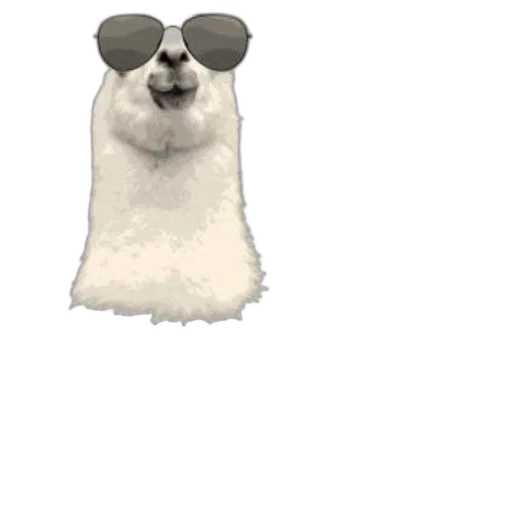 animal, creature, staff, jacket transparent PNG cut-out
