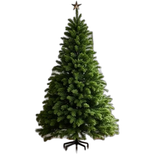 tree, staff, 3d render, photorealistic transparent PNG cut-out