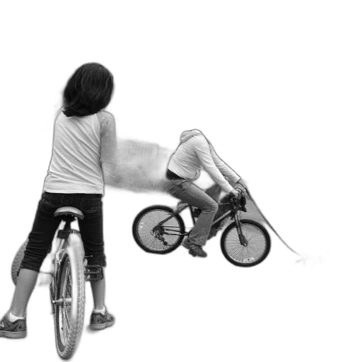photorealistic, black, white, photo transparent PNG cut-out