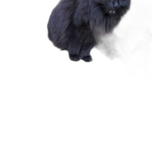 animal, creature, hair, dragon transparent PNG cut-out