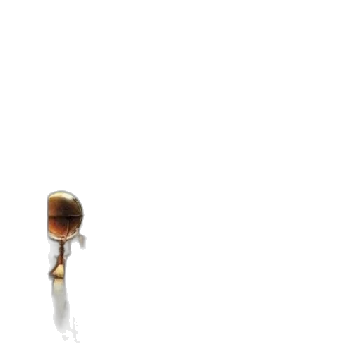 staff, jewelry, hair, weapon transparent PNG cut-out