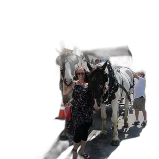 animal, dress, staff, creature transparent PNG cut-out