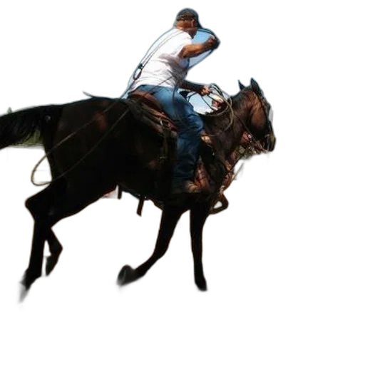 animal, hat, photorealistic, concept art transparent PNG cut-out