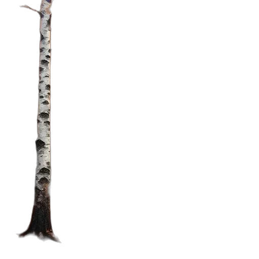 tree, staff, sword, animal transparent PNG cut-out