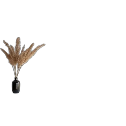 staff, hair, jewelry, umbrella transparent PNG cut-out