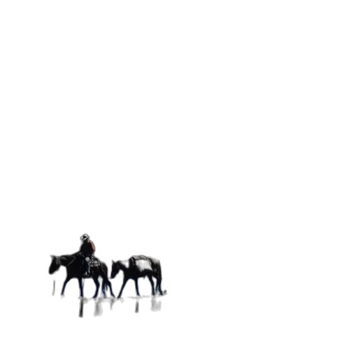 animal, creature, robot, furniture transparent PNG cut-out