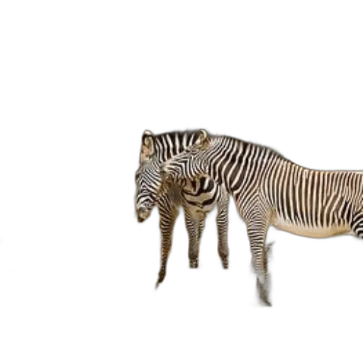 animal, creature, furniture, jewelry transparent PNG cut-out