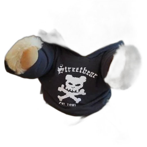 jacket, hat, teddy, bear transparent PNG cut-out