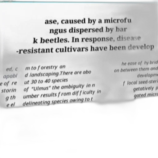 image, text-based, description, elm transparent PNG cut-out