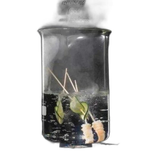 bottle, creature, dragon, animal transparent PNG cut-out