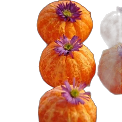 crown, food, flower, photorealistic transparent PNG cut-out