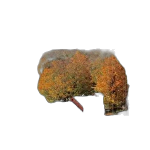 hat, animal, tree, mask transparent PNG cut-out