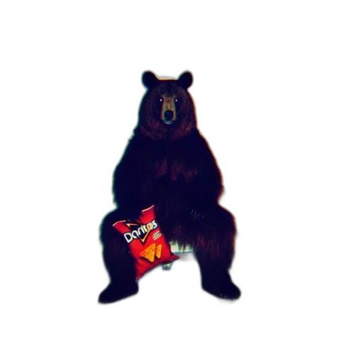 food, animal, creature, robot transparent PNG cut-out