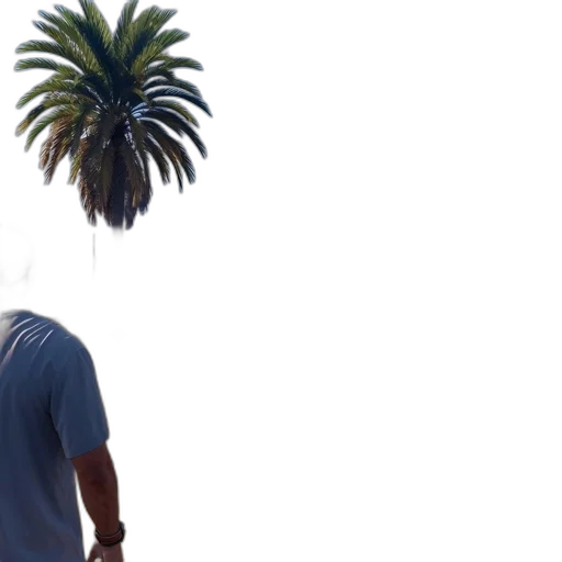 tree, umbrella, staff, hat transparent PNG cut-out