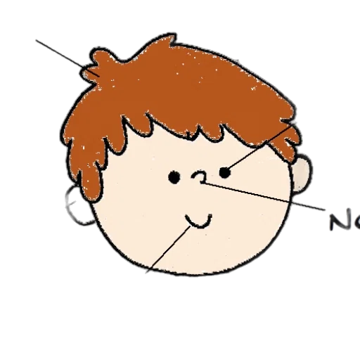 face, hair, staff, animal transparent PNG cut-out