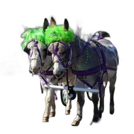 animal, staff, dragon, creature transparent PNG cut-out