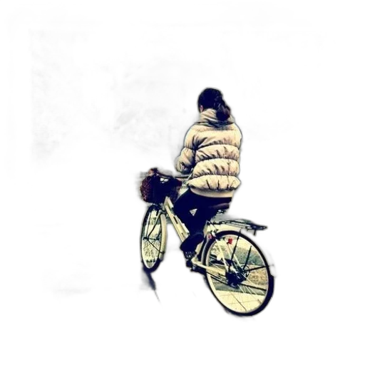 jacket, umbrella, animal, photorealistic transparent PNG cut-out