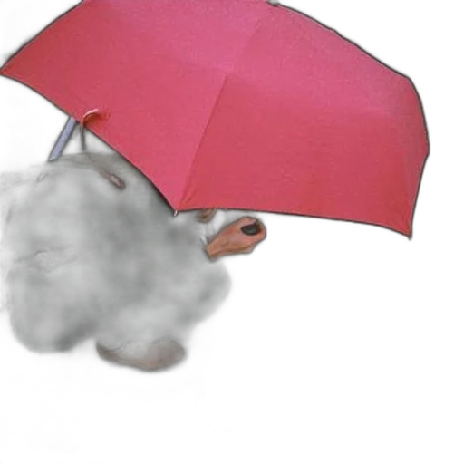 umbrella, hat, mask, animal transparent PNG cut-out