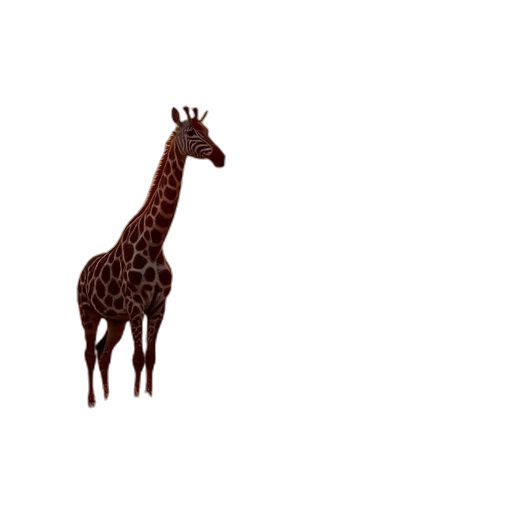 animal, creature, crown, furniture transparent PNG cut-out