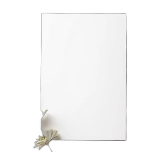 flower, face, furniture, jewelry transparent PNG cut-out