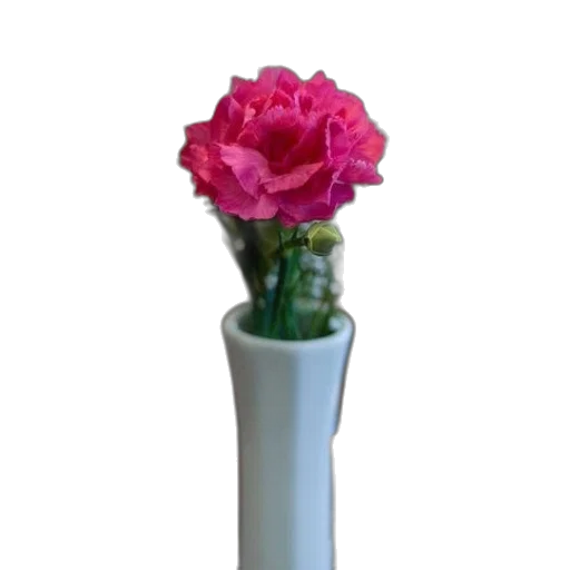 flower, staff, crown, bottle transparent PNG cut-out