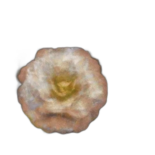 flower, crown, jewelry, food transparent PNG cut-out