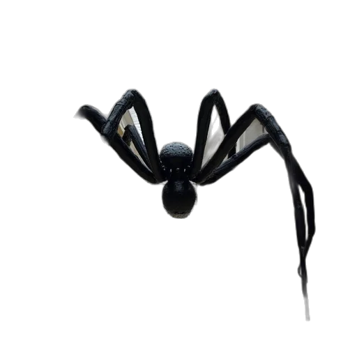 mask, creature, animal, jewelry transparent PNG cut-out