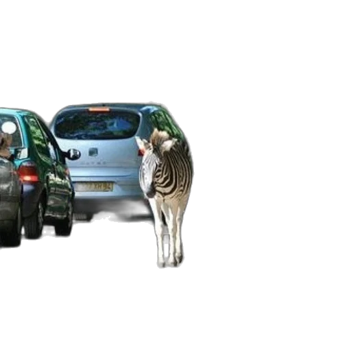 car, animal, 3d render, concept art transparent PNG cut-out